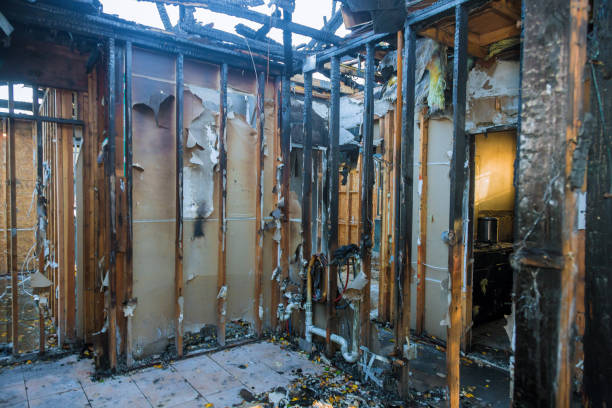 Professional Fire Damage Repair technician working in Hamburg, PA